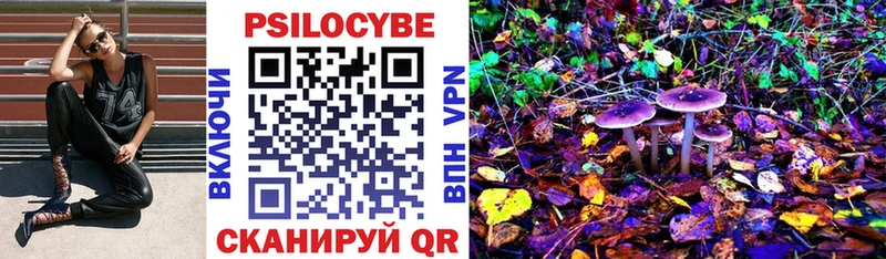 Галлюциногенные грибы Cubensis где купить наркоту блэк спрут ТОР Нестеров